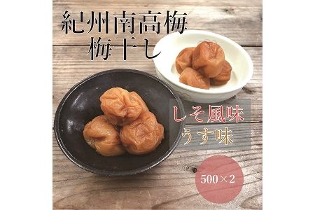 【贈答用】紀州南高梅 食べ比べセット 500g×2　（しそ・うす味）【inm900-4A】