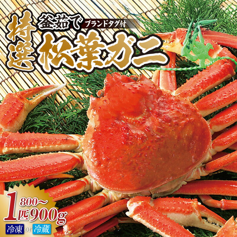 【ふるさと納税】先行予約 当日茹でたて発送 特選釜茹で 松葉ガニ 1匹 (約800g～900g)【選べるお届け状態！（冷蔵・冷凍）】産地証明のタグ付き カニ酢付き 松葉ガニ しゃぶしゃぶ かに カニ ボイル 茹で 蟹 蟹しゃぶ 鍋 松葉蟹 姿ズワイガニ 香住産 宿院商店 送料無料