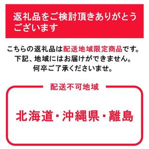 ニュー ピオーネ 2房（1房480g以上）約1kg 化粧箱入り ｜ ピオーネ