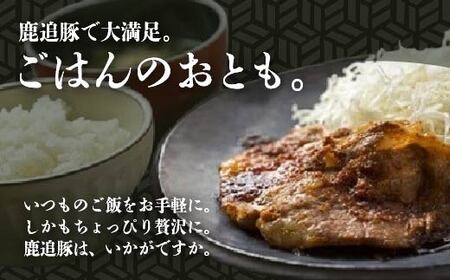 生姜焼き・豚ジンギスカン（鹿追豚Ｅセット） SKA002