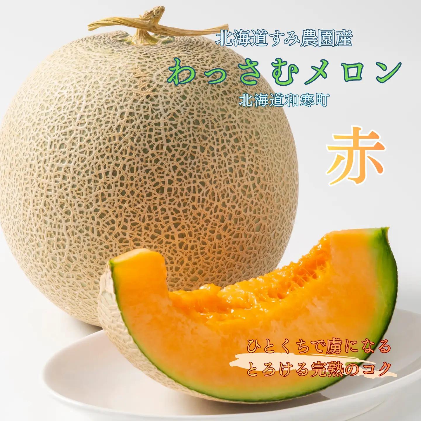 【ふるさと納税】≪令和8年産予約≫わっさむ産メロン（赤肉2玉）【7～8月お届け】