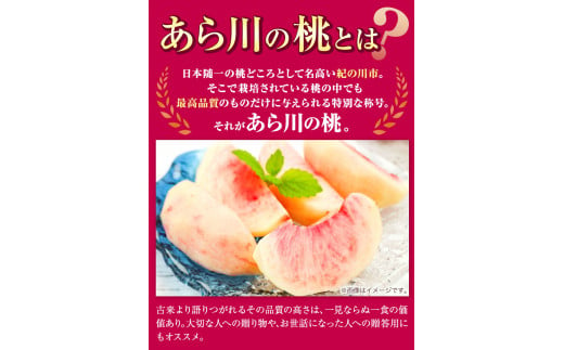 桃ももあら川の桃和歌山県産紀州の名産旬の桃厳選約4kg12-15玉入り《2024年6月中旬-8月中旬頃出荷》和歌山予約あかつき ---wfn_cwlocal40_q68_23_22000_4kg---