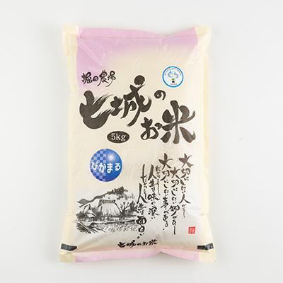 ふるさと納税 菊池市 【熊本県産】 七城のお米 ぴかまる 5kg |  | 01