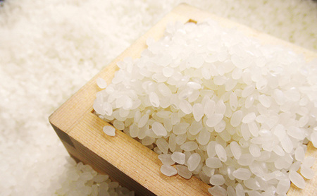 【米屋商店】令和5年産　こだわりの奥会津只見産　コシヒカリ　5kg×2袋（合計10kg）