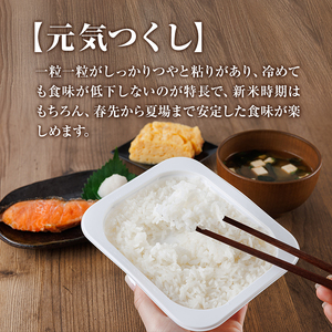 福岡県産米 元気つくし パックご飯 (計24P)お米 おこめ 米 こめ コメ 白米 福岡県産 ブランド米 パック 災害 備蓄 小分け 酸味料無添加 常温 常温保存 【ksg1748】【農産物直売所ほた