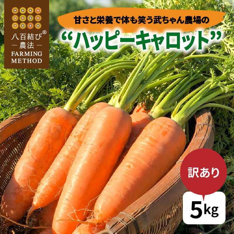 【ふるさと納税】【食品ロス削減】 武ちゃん農場 ハッピーキャロット フードロス 野菜 5kg ハッピーキャロット 人参 離乳食 にんじんジュース 送料無料