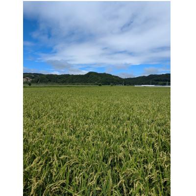 ふるさと納税 むかわ町 北海道米の発芽玄米「ななつぼし・ゆめぴりか」食べ比べセット |  | 03