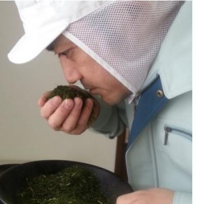 ふるさと納税 静岡市 静岡市産　本山茶ティーバッグ　15個入り×3袋(合計45ティーバッグ) |  | 03