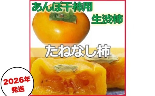 生渋柿たね無 あんぽ柿用 T軸枝無 約14.5～15kg　約60～90個【2026年10月中旬～11月上旬ごろ順次発送】【ART15】