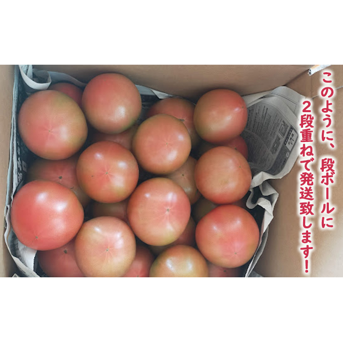 ◆2025年7月から順次出荷◆ farmユメソラ 大玉 トマト 約4kg_イメージ3