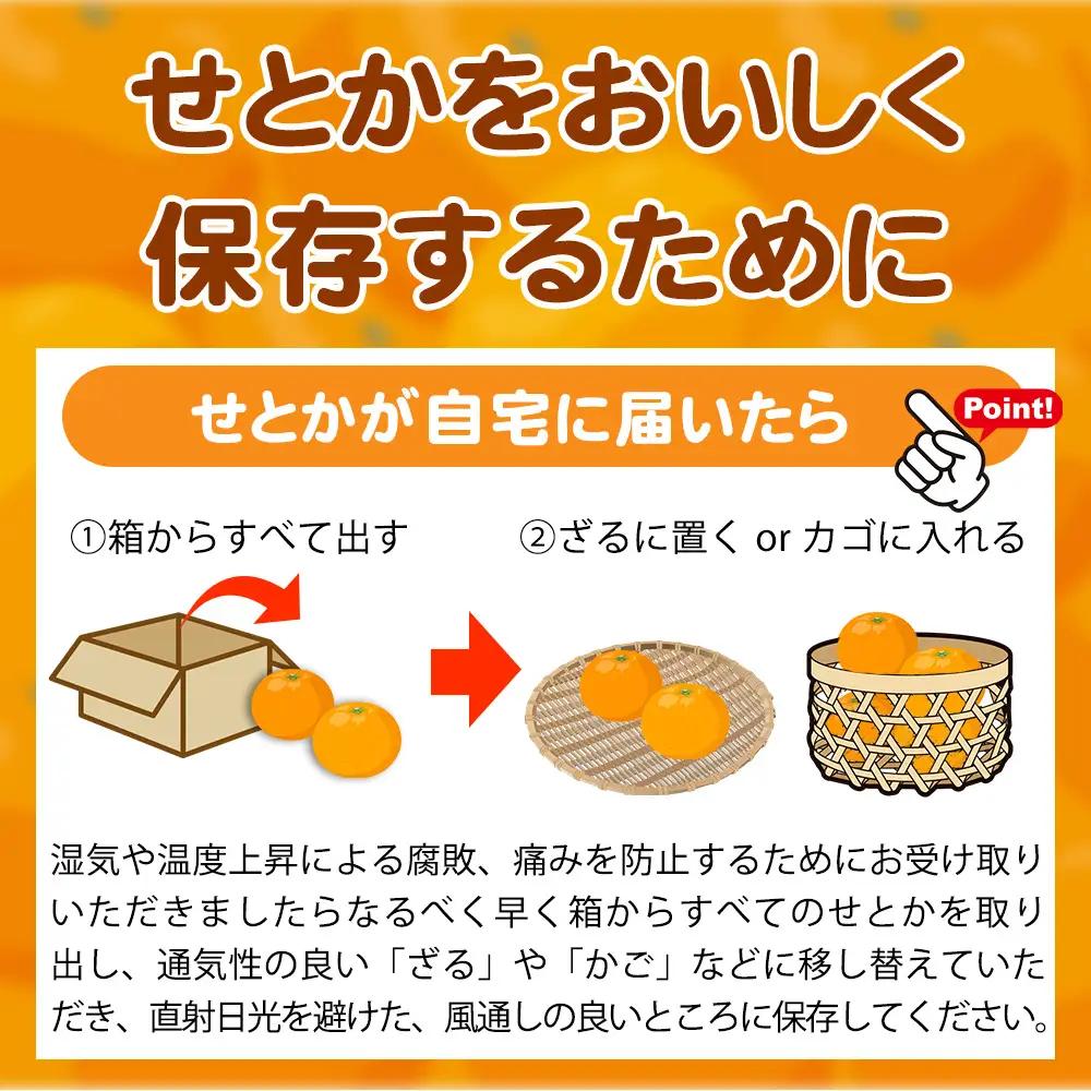 とろける食感 ジューシー柑橘 せとか 約2.5kg みかん 蜜柑 柑橘 オレンジ 果物 フルーツ 国産 和歌山県広川町 ※2027年1月下旬頃～2027年2月上旬頃に順次発送予定【uot789A】