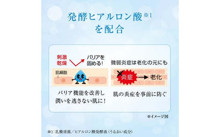 ロート製薬【肌ラボ 極潤】化粧水つめかえ４点セット【roht0003】