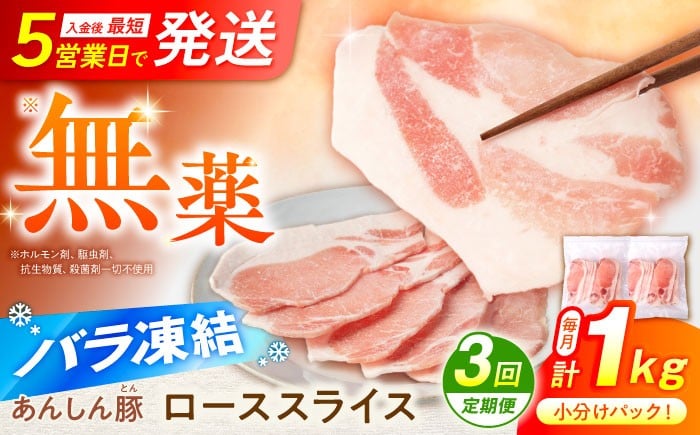 
            【3回定期便】《バラ凍結》豚ロース スライス 1kg （500g×2袋） 豚肉 ぶた肉 冷凍肉  ロース 小分け 薄切り ロース 大容量 パラパラ 生姜焼き とんかつ 炒め物 便利 ストック あんしん豚 冷凍 無薬 無薬育ち 薬不使用 家族向け 普段使い グルメ お取り寄せ おすすめ ランキング 国産豚 ジューシー ポーク 3万6千円 36000円 白川町 / 藤井ファーム  [AWAF050]
          