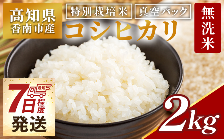 無洗米 高知県香南市産 特別栽培米 真空パック コシヒカリ 2kg - 国産 米 お米 おこめ こしひかり 白米 ごはん おにぎり おむすび ご飯 農業公社 高知県 香南市 常温 nu-0001