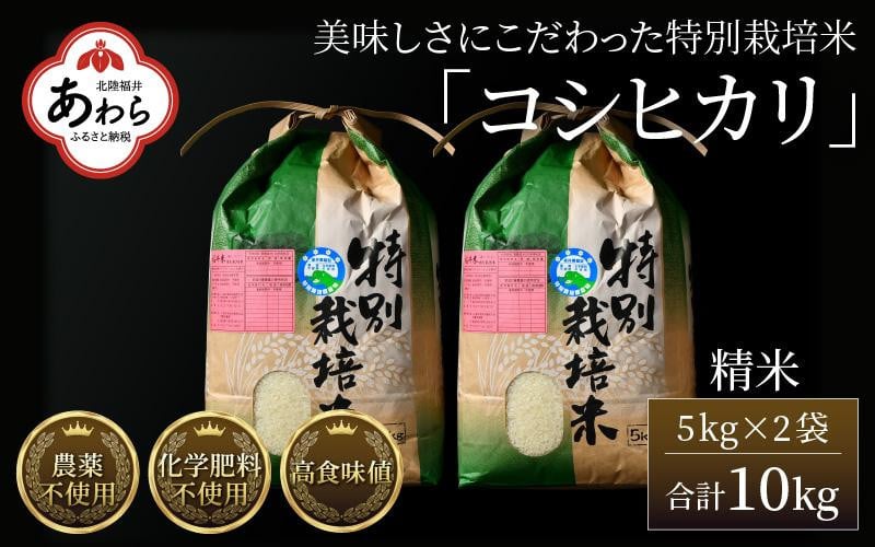 
            【先行予約】【令和7年産 新米】コシヒカリ 精米 5kg×2袋（計10kg） 特別栽培米 農薬不使用 化学肥料不使用 ／ 残留農薬ゼロ 高品質 鮮度抜群 福井県産 ブランド米 白米 ※2025年9月下旬より順次発送予定
          