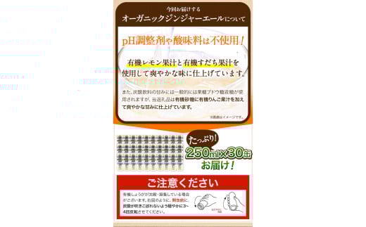 ジンジャーエール 250ml×30缶 光食品株式会社《30日以内出荷予定(土日祝除く)》徳島県 上板町 ジュース 炭酸水 光食品 ジンジャーエール オーガニック 有機 k-3