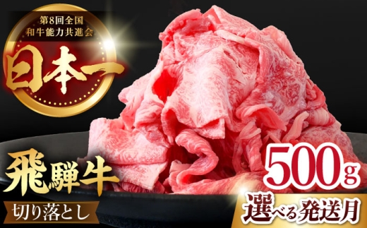 【11月発送】【 飛騨牛 】 切り落とし 500g ( 250g × 2 )  牛肉 国産 ブランド牛 和牛 多治見市 / 肉のひぐち [TDC009-11]