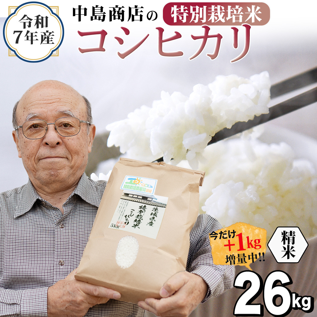 【1kg増量中】 令和7年産 茨城県産 精米 特別栽培米 コシヒカリ 26kg （26kg×1袋） 通常25kgのところ1kg増量中！ 白米 こしひかり 米 コメ こめ 単一米 限定 茨城県産 国産 