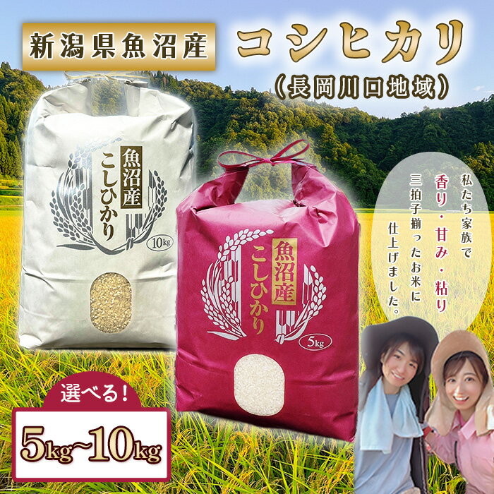 【ふるさと納税】米 令和7年産 新潟県 魚沼産 コシヒカリ 選べる 5kg 10kg 白米 川口（えちごfarm）