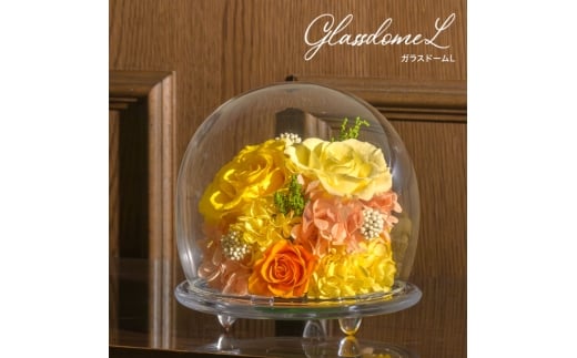 ガラスドームL 花 お花 プリザーブドフラワー ギフト プレゼント お祝い 誕生日 お供え アレンジ インテリア 東京都 墨田区【レッド】 [№5619-6308]