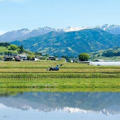 【令和7年度産】　雪ほたか10kg　【川場村産こしひかり】【1029505】