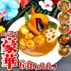 【豪華】スープカレー食べ比べ6食セット(約2.6Kg)ジャングルスープカレー