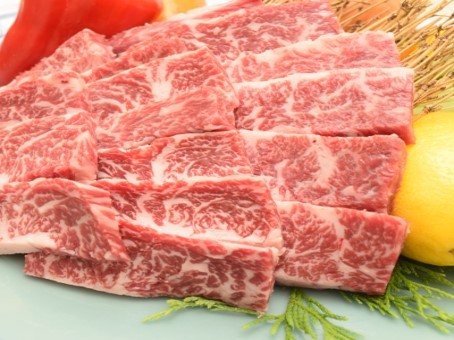 
                  佐賀牛カルビ焼肉用（500g）
                