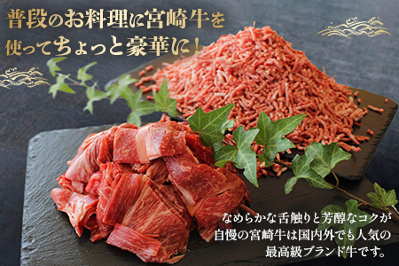 ＜宮崎牛 こま肉(約400g)＆宮崎牛 ミンチ(約600g)セット 合計約1kg＞2か月以内に順次出荷【 牛 肉 牛肉 和牛 黒毛和牛 こま切れ 牛こま ハンバーグ お弁当 】