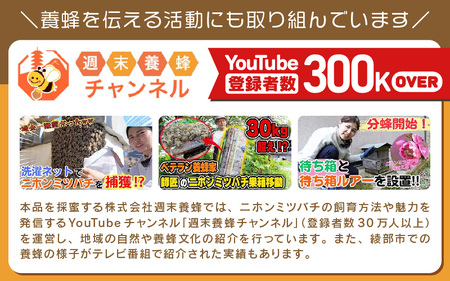 【定期便】 ニホンミツバチのはちみつ 300g×12回 | 蜂蜜 はちみつ ハチミツ 百花蜜