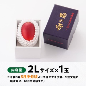 【令和8年発送】宮崎県産完熟マンゴー「時の雫」2L×1玉 フルーツ マンゴー