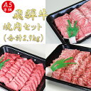 【ふるさと納税】AB-46 A5飛騨牛焼き肉セット（合計2.9kg）