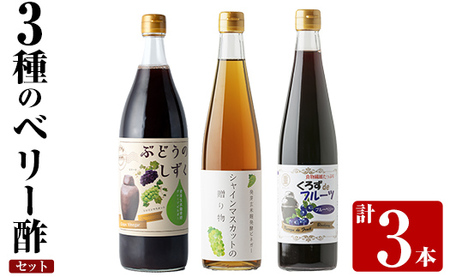 K-112 3種のベリー酢(ピオーネ・シャインマスカット・ブルーベリー)飲み比べセット(計3本)【重久盛一酢醸造場】 重久本舗霧島市 お酢 調味料 黒酢ドリンク ビネガー セット 重久本舗