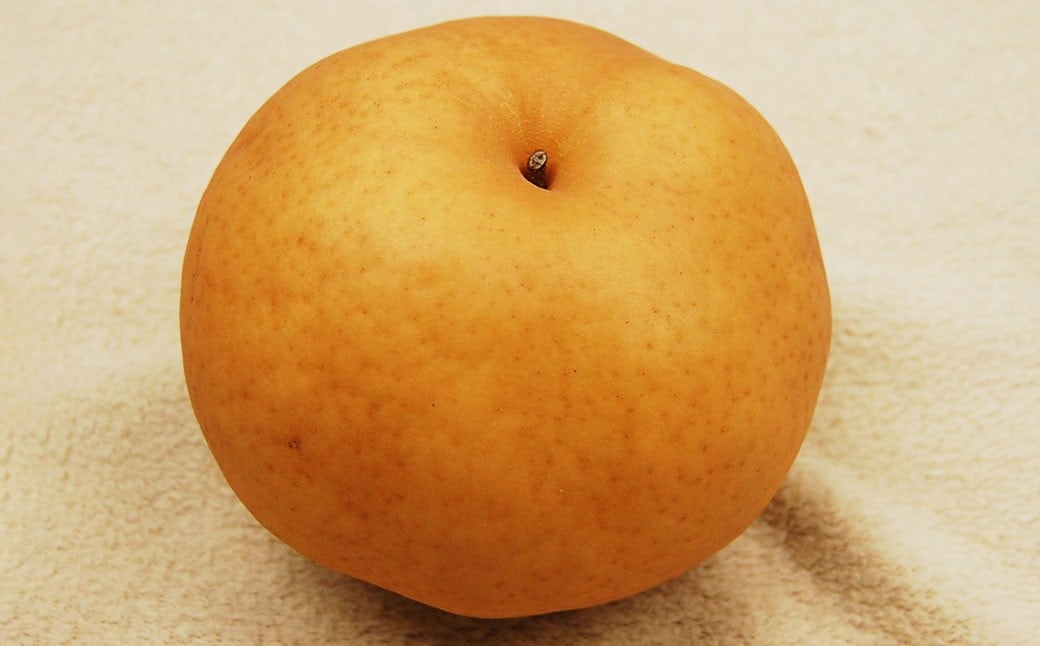 
            あたご梨約3kg 3～5玉入【2025年11月下旬-12月下旬 発送予定】【梨 なし 果物 フルーツ 国産 人気 おすすめ 岡山県 倉敷市】
          