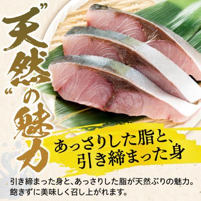 ふるさと納税 えりも町 えりも【マルデン特製】北海道産天然ぶり切身10切 |  | 01
