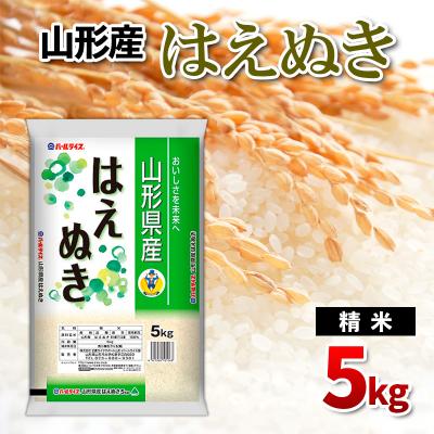 ふるさと納税 山形市  山形産 はえぬき 精米 5kg FY26-261