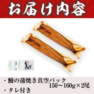 うなぎの大楠＜大＞2尾セット計300g(150g×2) a5-244