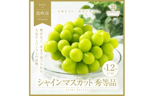 ＜25年発送先行予約＞山梨県笛吹市の旬の採れたてシャインマスカット　秀等品　約1.2kg(2房～3房) 105-006