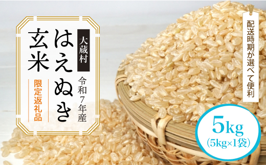 ■数量限定返礼品■ ＜令和7年産＞ はえぬき 【玄米】 5kg （5kg×1袋） 配送時期指定できます！ 大蔵村