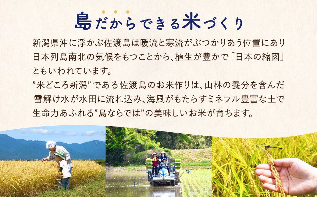 【令和8年産新米 6ヶ月】佐渡島産ゆきん子舞 無洗米 5kg ～農薬5割減～