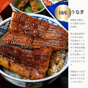 1036 美濃金　神田本店　炭焼　国産うなぎ蒲焼２