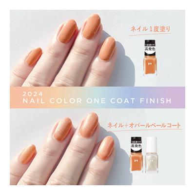 ふるさと納税 岸和田市 pa nail collective ネイル4種セット3 |  | 01
