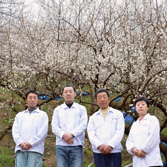 なかやまさんちの梅干　かつお風味塩分5％(850g×1箱）