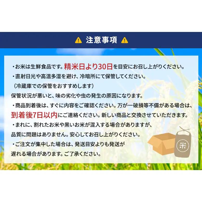【予約】令和8年度産 静岡産 コシヒカリ 玄米 定期便 10kg×6カ月 米 コメ こしひかり コシヒカリ 袋井市 静岡県
