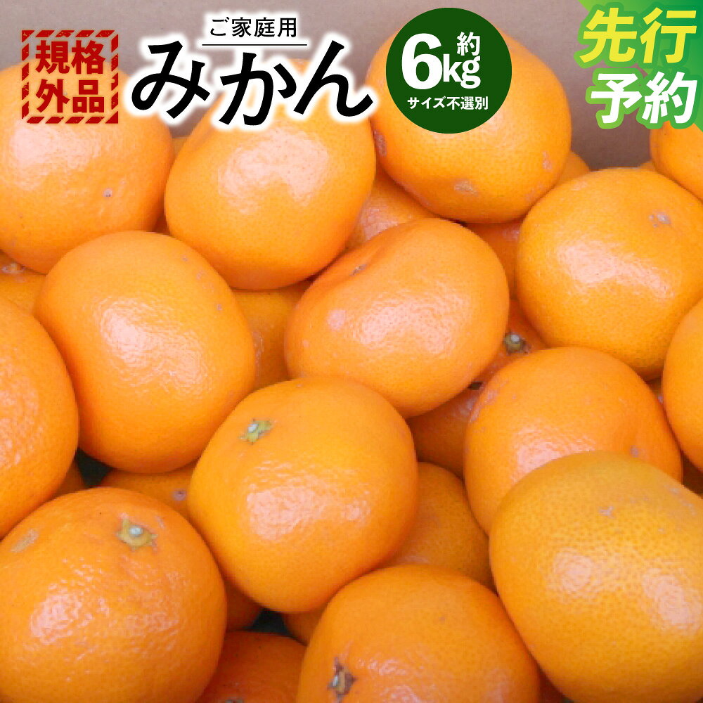 【ふるさと納税】＜ R8年熊本地震復興支援 ＞ 【規格外品】みかん ご家庭用 約6kg 7000円 サイズ不選別 ミカン 蜜柑 柑橘 果実 フルーツ くだもの 果物 おやつ 熊本県産 国産 冷蔵 先行予約 送料無料 【2026年10月下旬～2027年2月上旬迄発送予定】