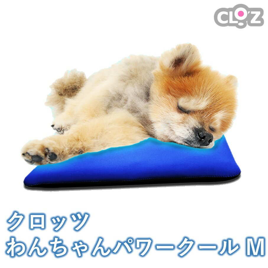 【ふるさと納税】クロッツ わんちゃんパワークールM