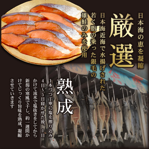 塩引鮭 半身 約900g （11～13切） 塩鮭 鮭 冷凍 シャケ さけ サケ 切り身 切身 寒風干し 塩引き鮭 小分け 焼き魚 高級 国産 美味しい 塩鮭 真空パック 新潟 新発田 suzuki00