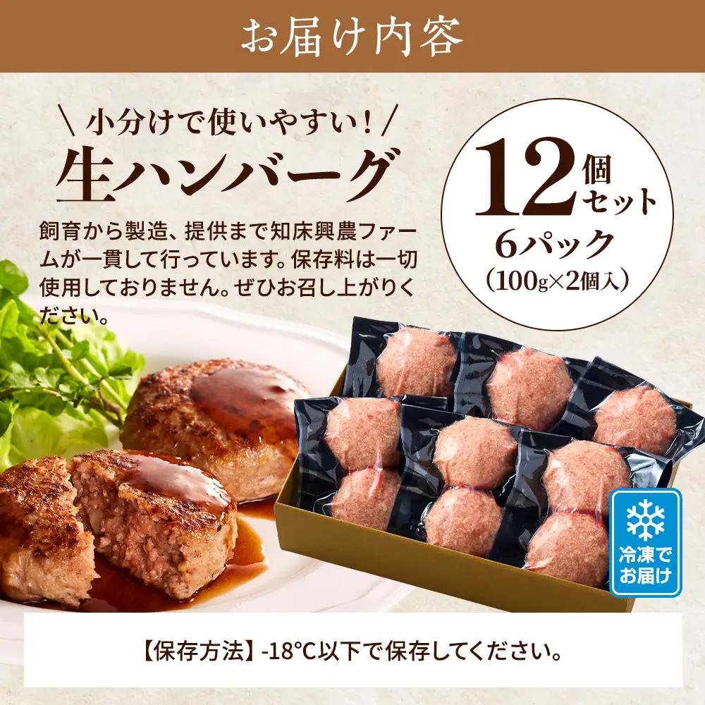 【生ハンバーグ】北海道産牛ハンバーグ 12個セット 【AC】