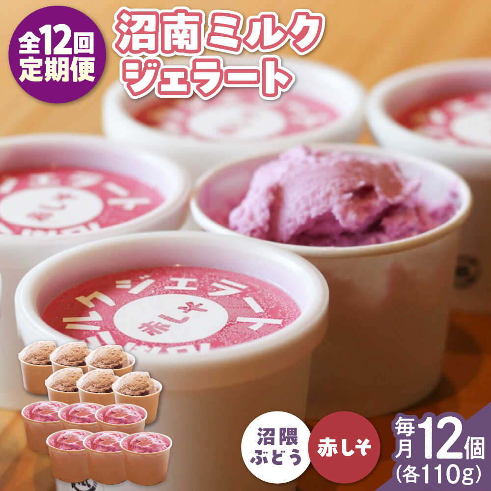 【ふるさと納税】【全12回定期便】沼南ミルクジェラート 沼隈ぶどう＆赤しそ 各6個 食べ比べセット アイス ぶどう 赤しそ アイスクリーム デザート スイーツ ご当地 おすすめ 人気 ひんやり お取り寄せ 詰め合わせ ギフト 贈り物 定期便 広島県福山市/甚ごろう[BAEC052]