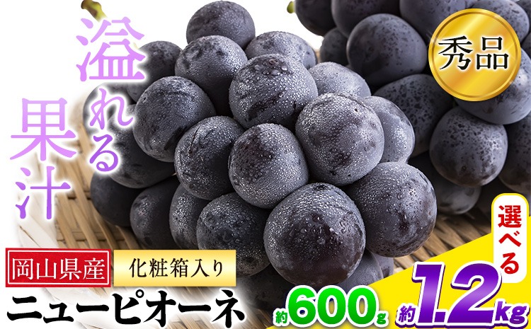 岡山県産 ニューピオーネ 選べる 約600g 1房 約1.2kg 2房《9月中旬-11月上旬頃出荷(土日祝除く)》岡山県 笠岡市 葡萄 果物 秀品 スイーツ フルーツ デザート 秋旬---kasaoka_zsy_36_06---