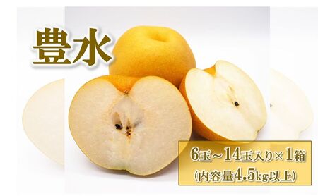 梨(豊水) 6玉～14玉入り×1箱 (4.5kg以上) ※2025年8月下旬～9月下旬頃に順次発送予定